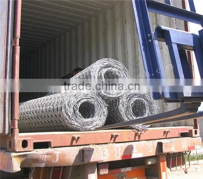 2016 new product China supplier Galvanized Hexagonal Wire Mesh