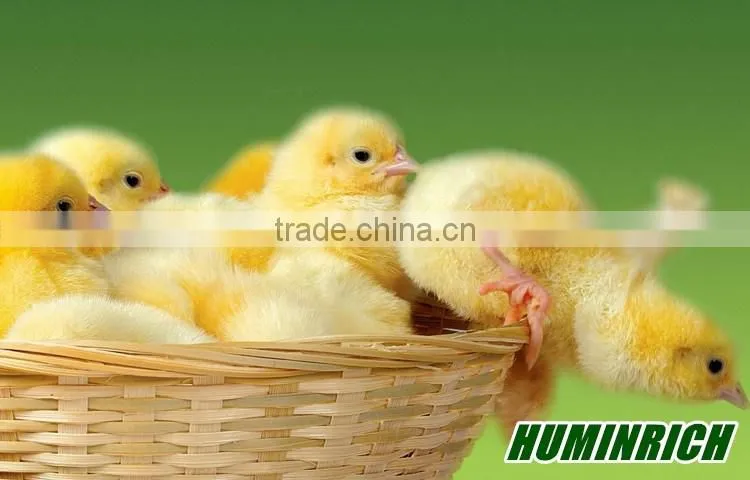 FAQ 21--Huminrich Sodium Humate Role As Feed Additive For Chicken