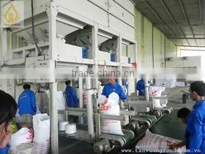 Vietnamese Long Grain Glutinous Rice 5% Broken