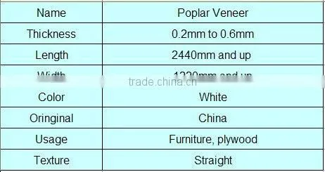 WHITE POPLAR VENEER---POPLAR WOOD VENEER