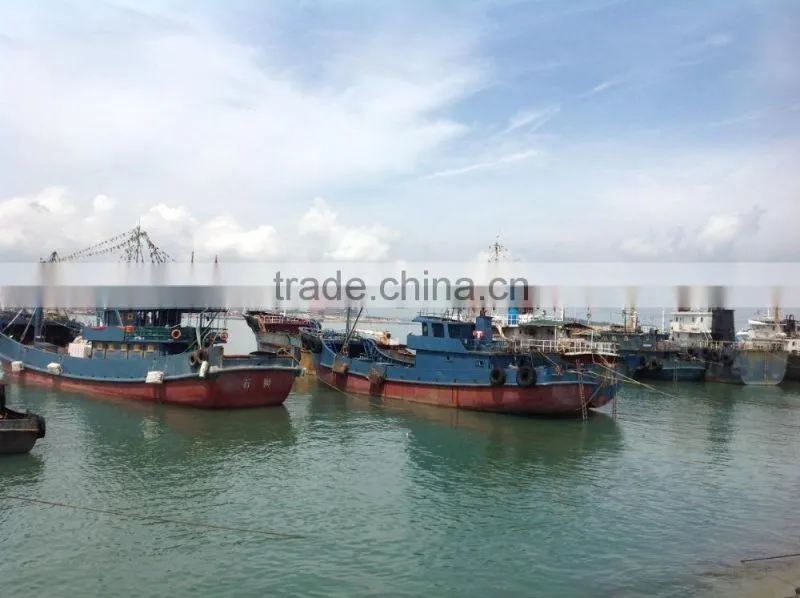 2016 new coming Frozen John Dory fillet for market