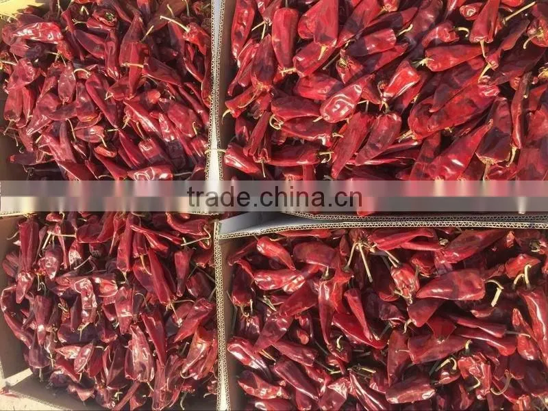 chilli