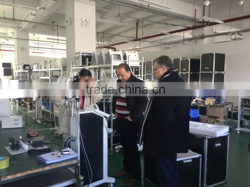 2016 newest Q switch nd yag laser for Melasma removal and Malar rash removal laser and birth mark removal machine
