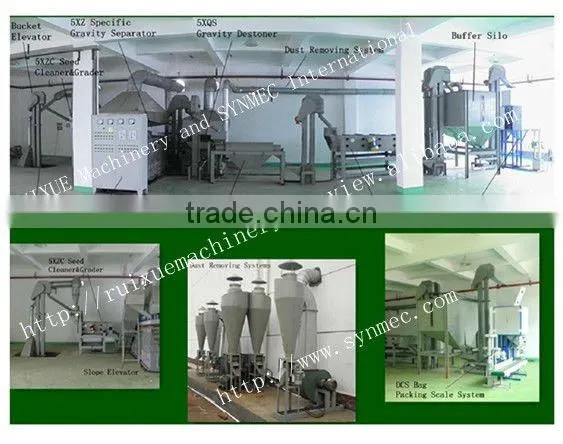 The Best Quality Maize Seed Processing Plant