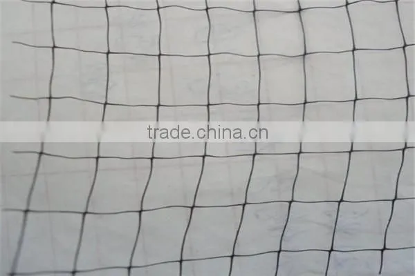 cucumber climb net/bean plant support net /Plant Support Net(Manufacturer)