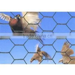 Hexagonal Wire Netting high quality