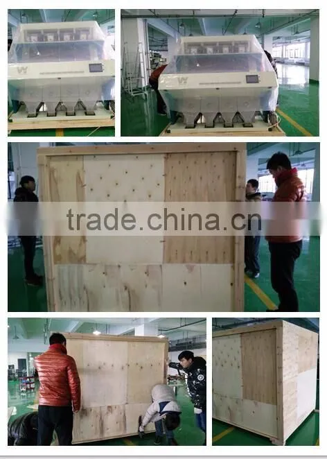 2016 hot selling salt color sorter machine in china