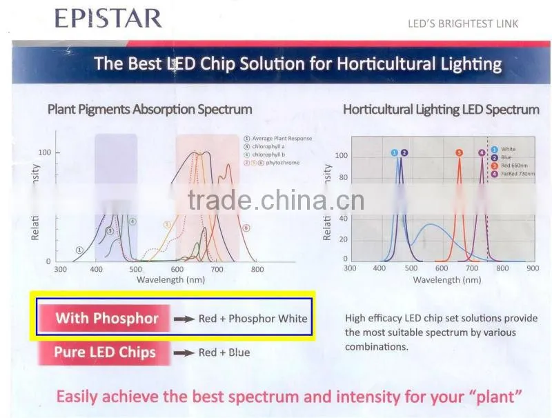 Newest led grow light China factory VANQLED 300w cob grow full spectrum