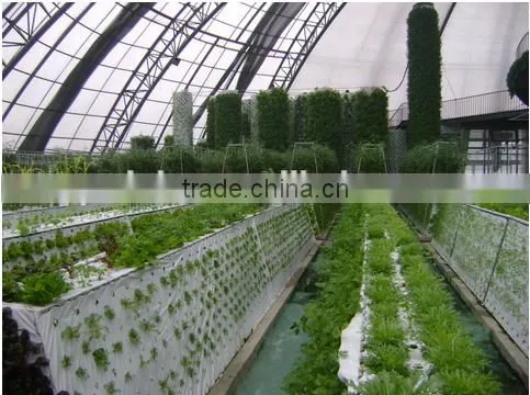 Professional Greenhouse Project commercial hydroponic systems