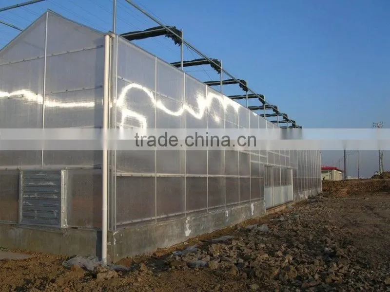 Independent design freeze protection ecological greenhouse