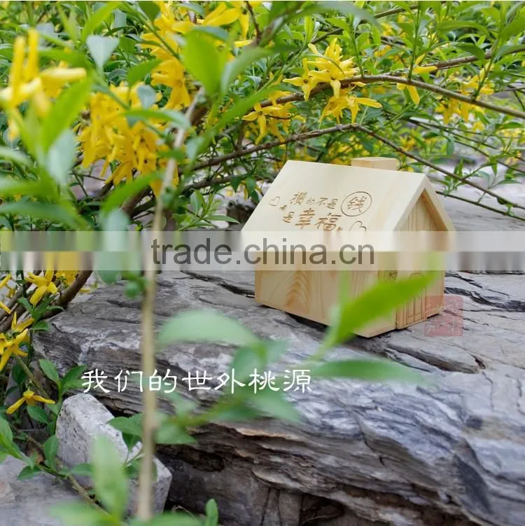 decor house wooden present money box