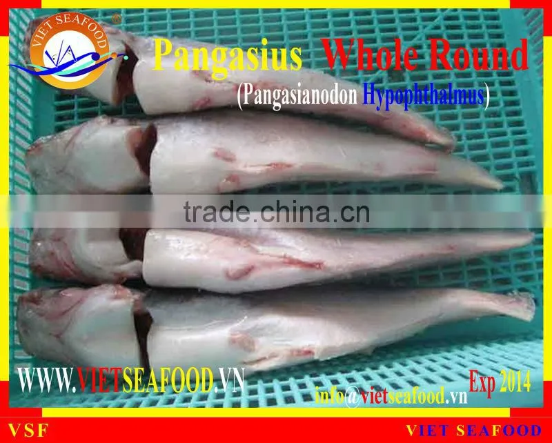 FROZEN W/R PANGASIUS