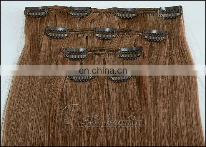 European/Indian/Brazilian Clip In Hair Extensions