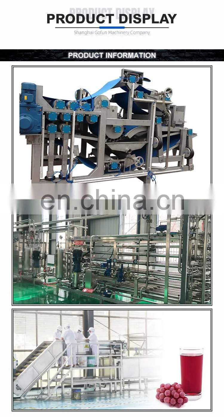 China newest grape fruit juice machine production line manufacturers