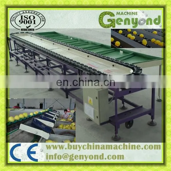 Large capacity onion garlic grading machine processing line