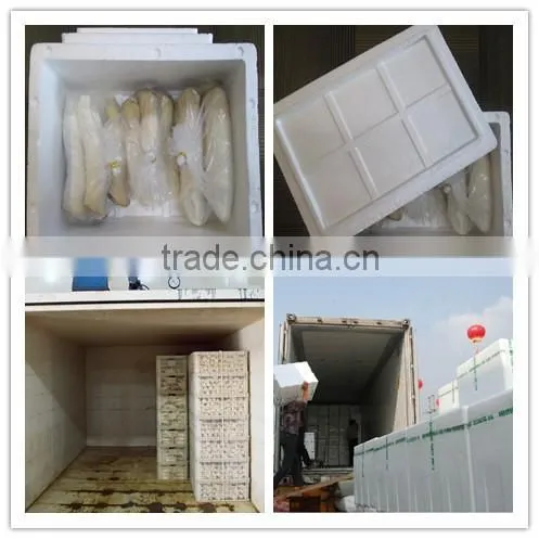 2014 fresh Pleurotus Eryngii for supermarket