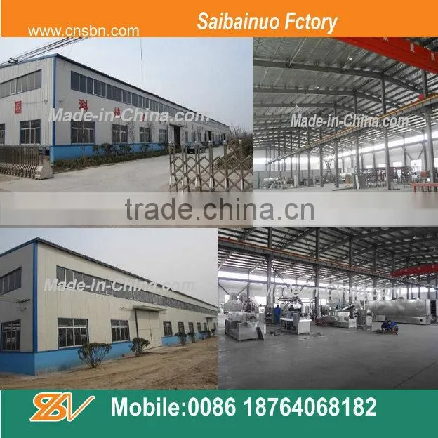 Big Capacity snacks extruder Machine