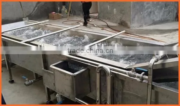 Zhengzhou Thrive brand vegetable carrot process machine/potato washing machine
