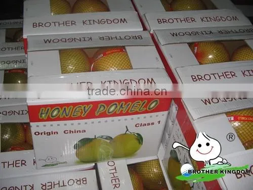 China honey pomelo exporter