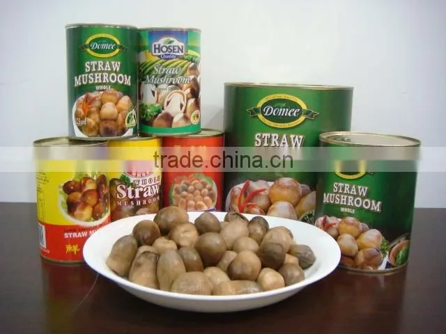 Canned Whole Straw Mushroom In Brine