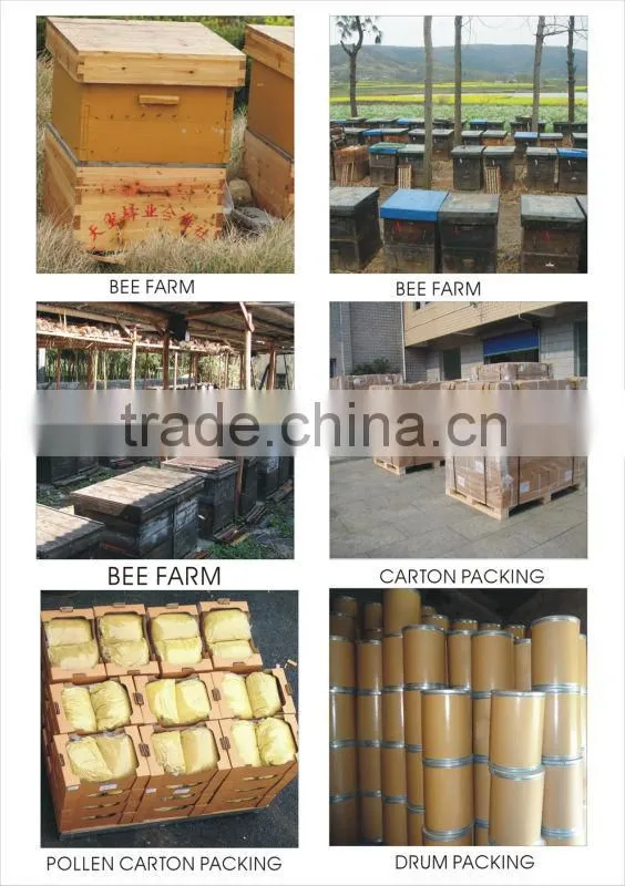 Real Propolis powder