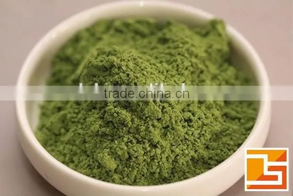 purity bulk moringa oleifera leaf powder extract