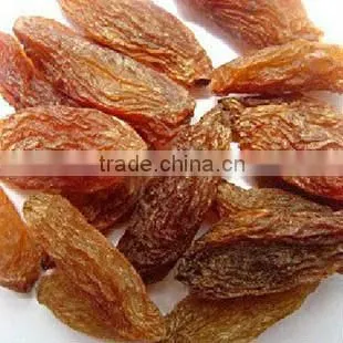 Hot Sale Zante Currant