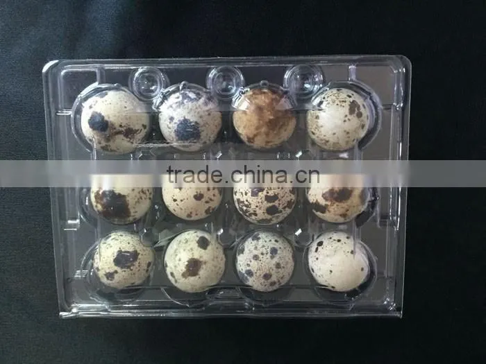 OUCHEN wholesale PVC clear plastic deviled egg carrier quail egg cartons 12 18 20 24 30 holes for sale