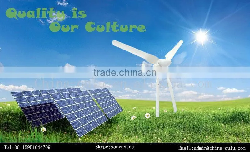 Hot sale 100w,200w,300w,400w,600w wind generator china