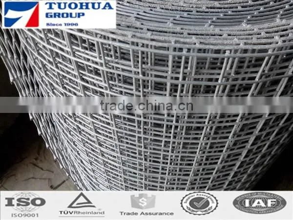 1/4 Inch/ 1 Inch Galvanized Welded Wire Mesh low Price