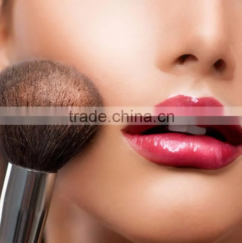 2016 New 15PCs/Set makeup brushes wholese