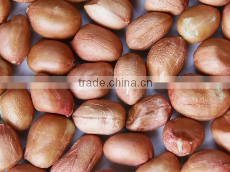 Java Peanuts suppliers