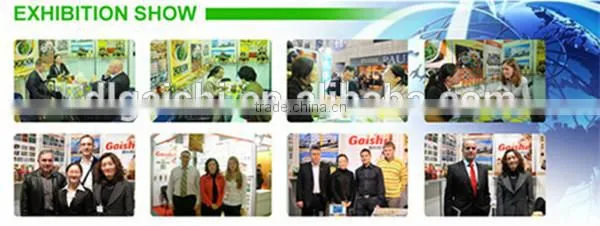 2015 gaishi Chinese white rice exporter short grain wihite rice 5 broke for sushi products