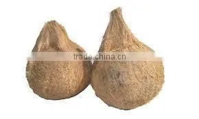 Bulk sale for Semi husked coconuts