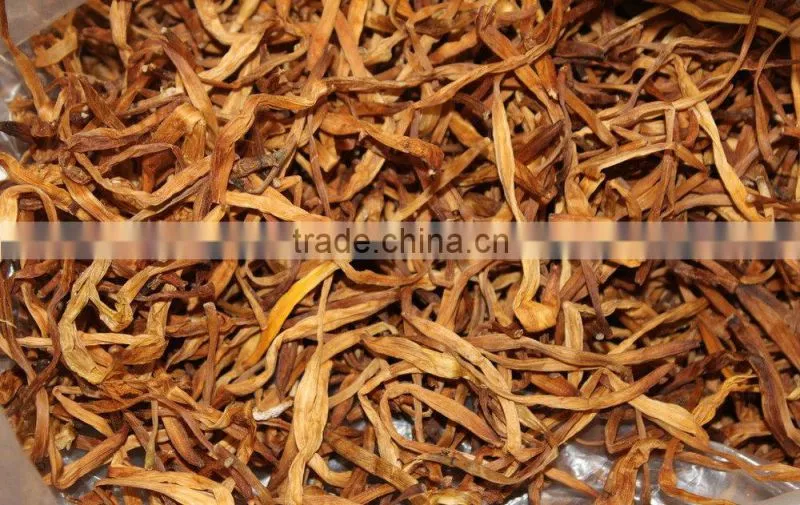 Yellow organic daylily, edible healthy vegetables