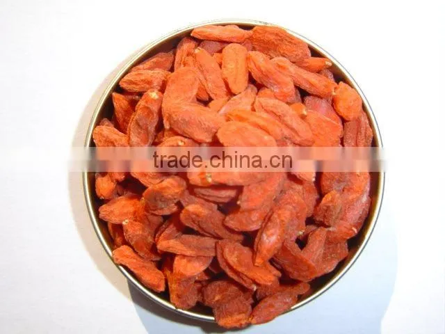 Lycium Fruit