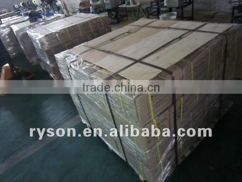 BCS-319 Staple Nails