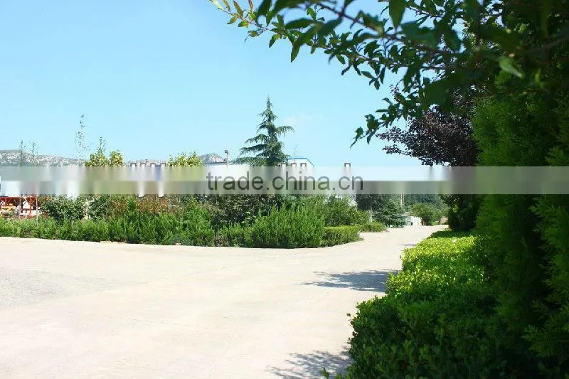 large gasdynamic HZS75 concrete batching plant for sale