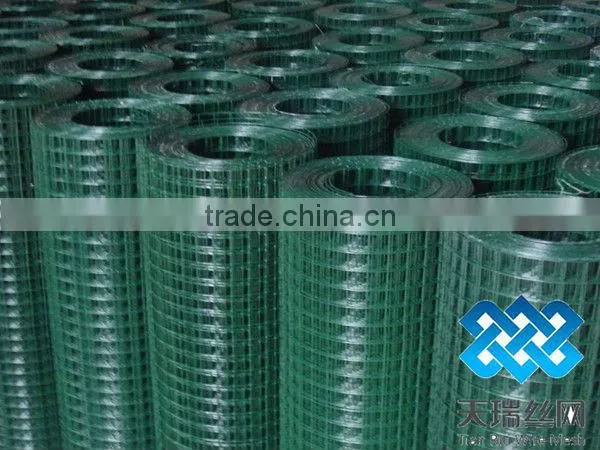 50x50mm opening galvanized Welded Wire Mesh