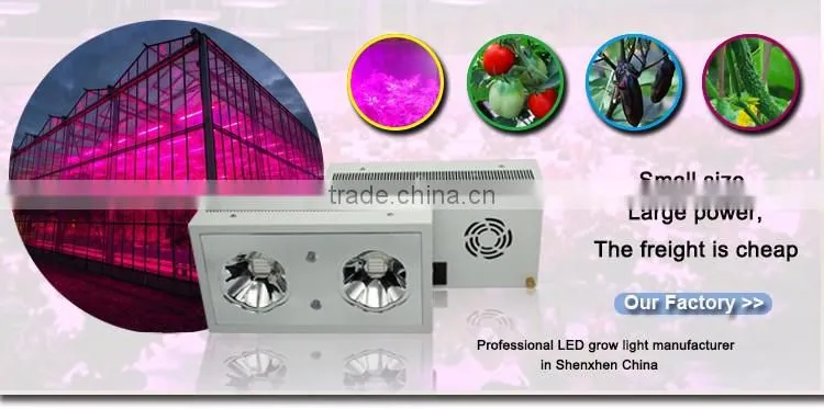 300W/400w Full Spectrum Led Grow Light Fixture for Veg Bloom