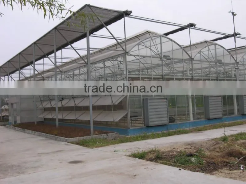 Hot sale multi span farm machinery greenhouse
