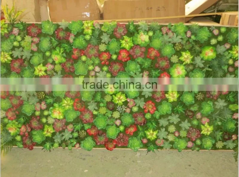 succulent plants green wall interior decoration for sale