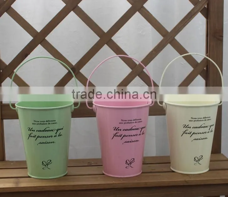 Antirust small House/Garden Decoration Metal Flower Pot bucket