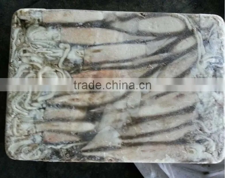 Frozen illex argentinus squid