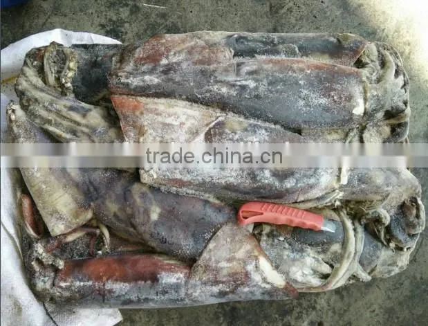 peru squid pangasius fish