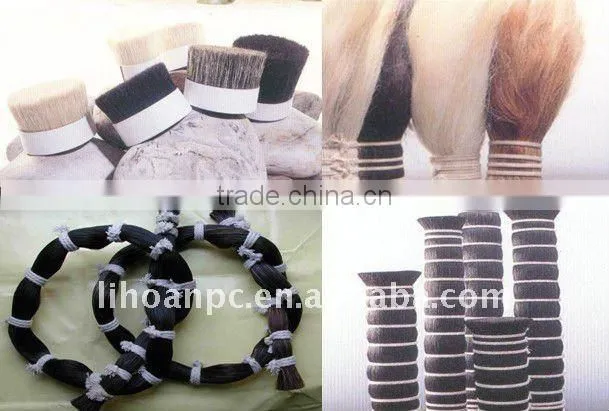 horse tail hairs