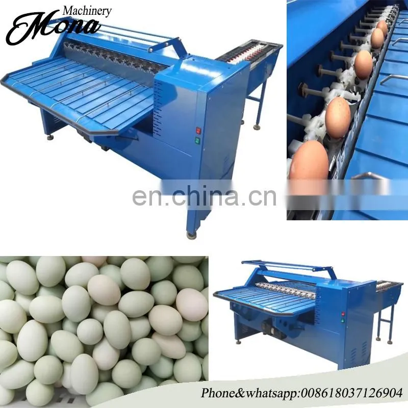 Stainless steel duck egg grading machine / duck egg sorter /duck egg grader