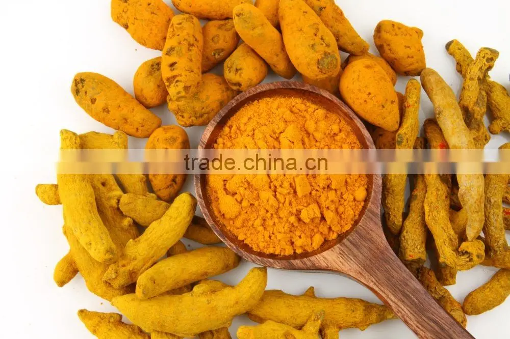 Best price Fresh Turmeric Root from Vietnam