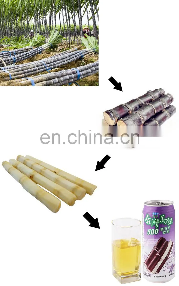 GYC 300-600kg/h sugar cane sugarcane peeling and cutting machine