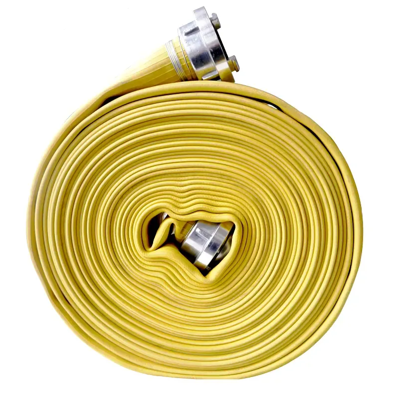 H011c19